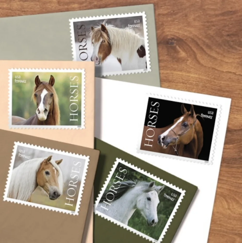 100 Horses 2024 Forever Postage Stamps US Postal USPS Equestrian‎ Riding Ponies